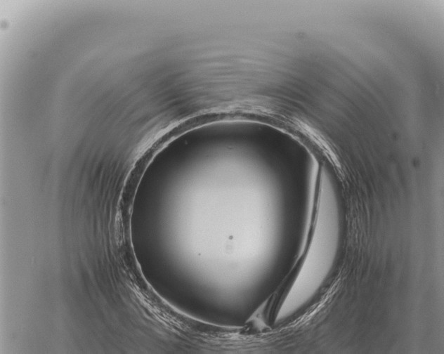 X0000061110876200512091814