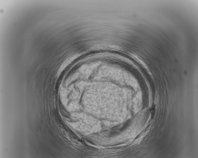 X0000061110877200512091814