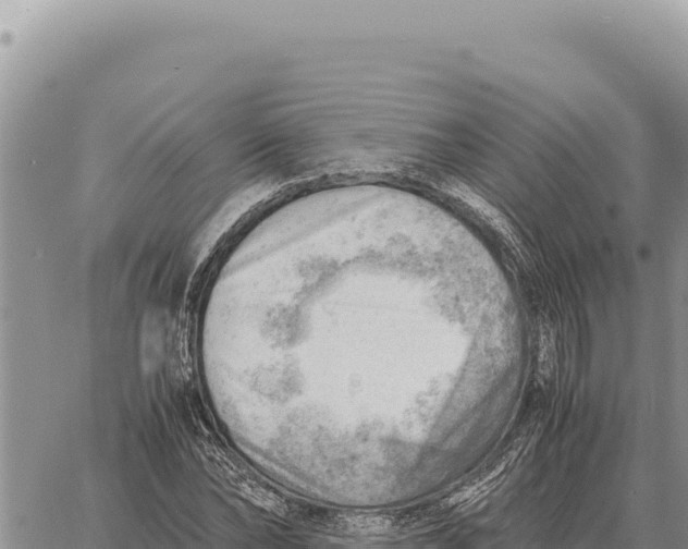 X0000061110878200512091814