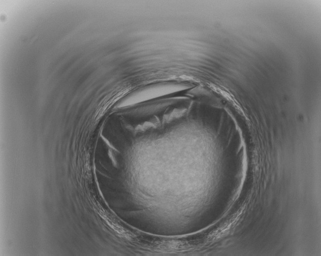 X0000061110881200512091814