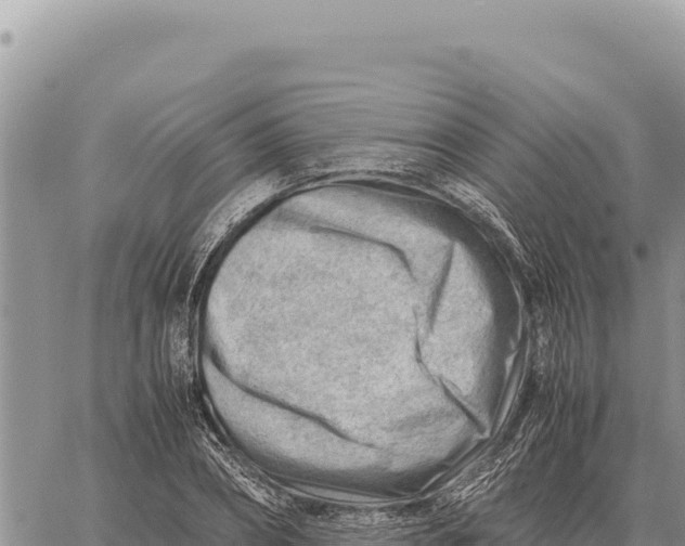 X0000061110882200512091814