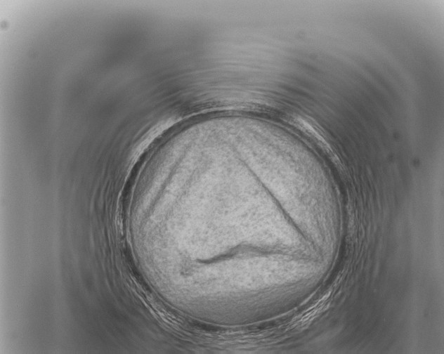 X0000061110883200512091814