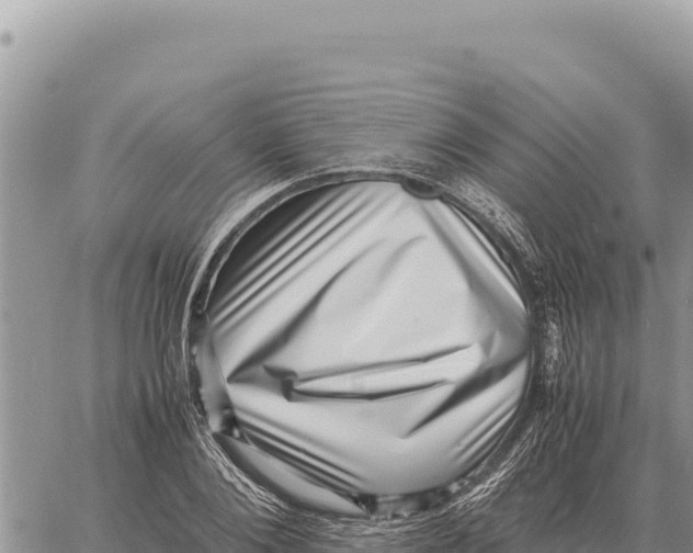 X0000061110884200512091814