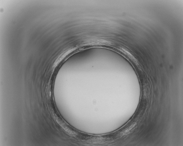 X0000061110885200512091814