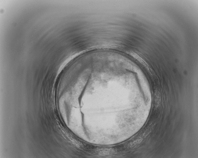 X0000061110886200512091814