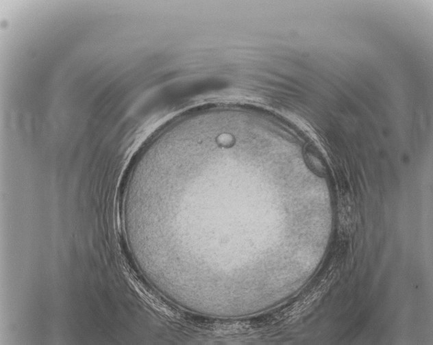 X0000061110887200512091814