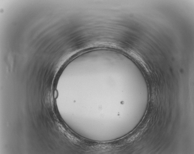 X0000061110888200512091814