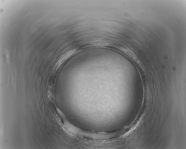 X0000061110889200512091814