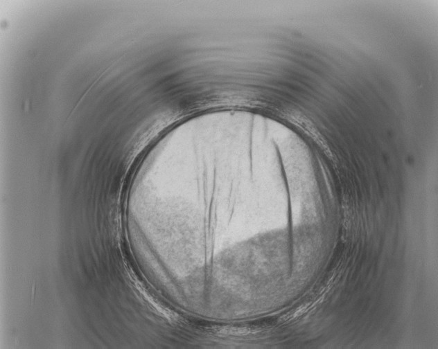 X0000061110890200512091814