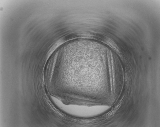 X0000061110891200512091814