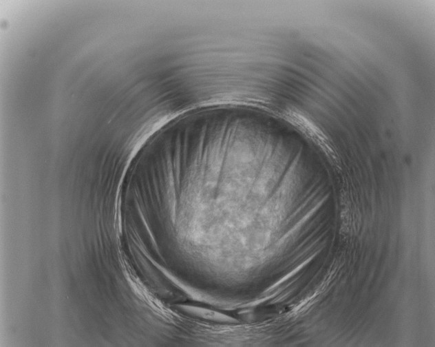 X0000061110892200512091814