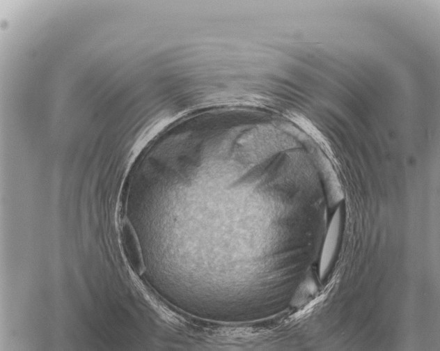 X0000061110893200512091814