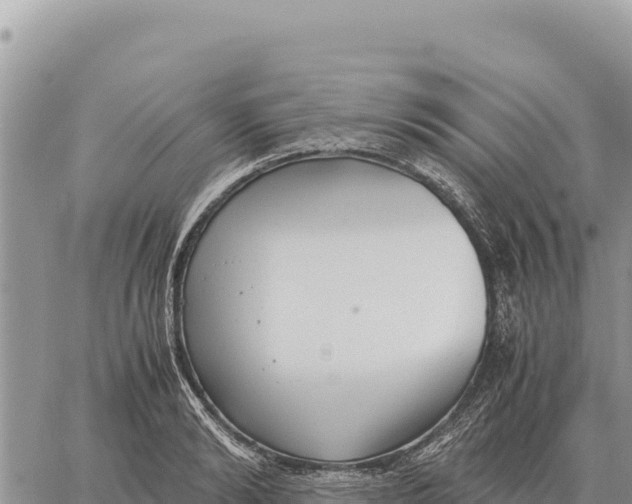 X0000061110894200512091814