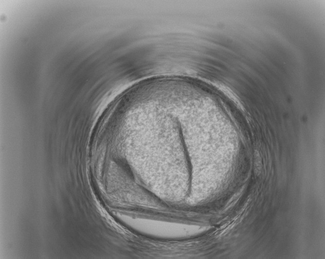 X0000061110895200512091814