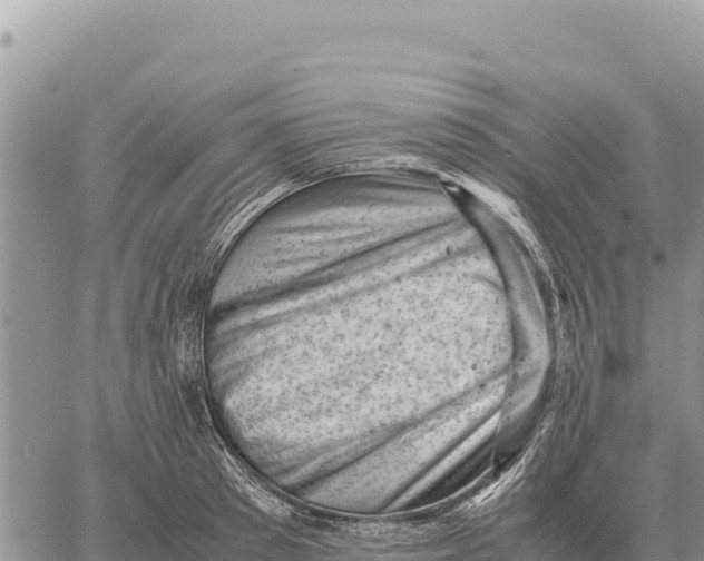 X0000061110897200512091814