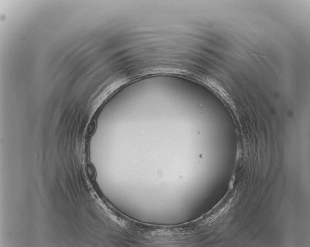 X0000061110898200512091814