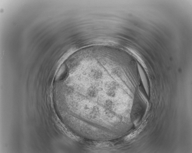 X0000061110899200512091814