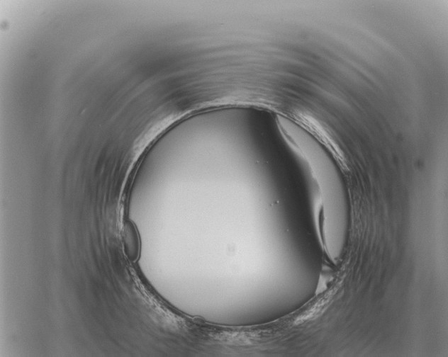 X0000061110900200512091814