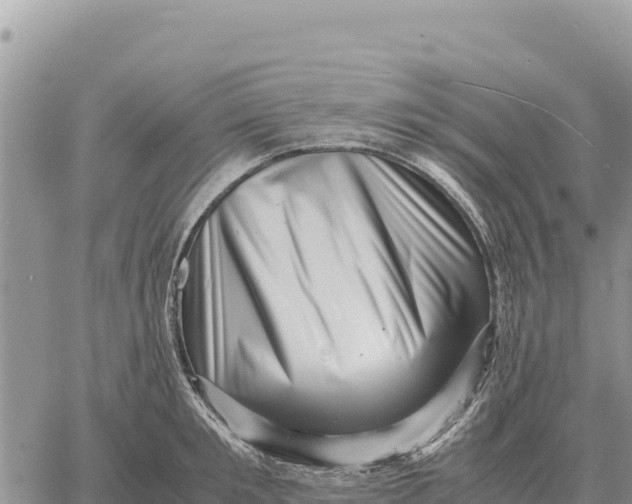 X0000061110901200512091814