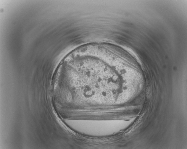 X0000061110903200512091814