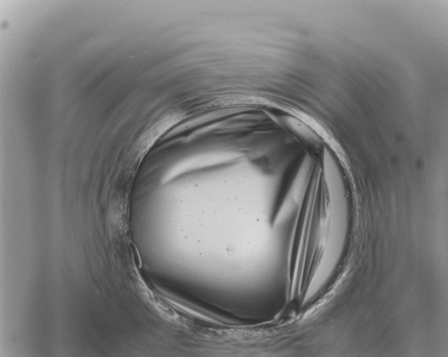 X0000061110905200512091814