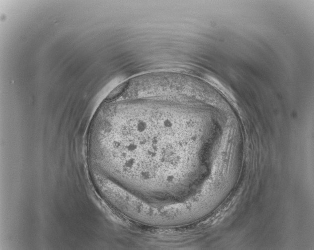 X0000061110907200512091814