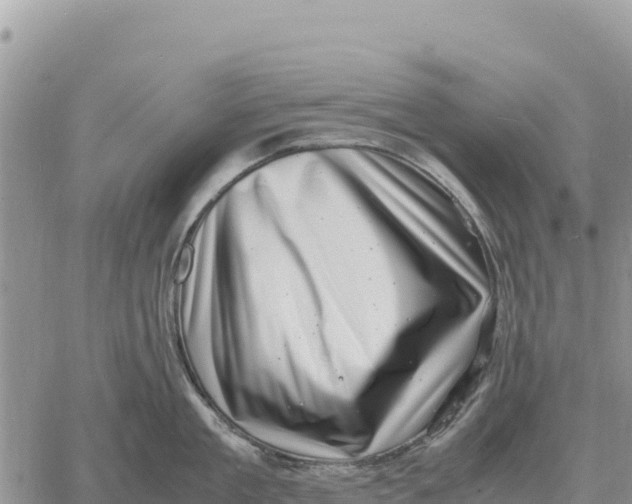 X0000061110909200512091814