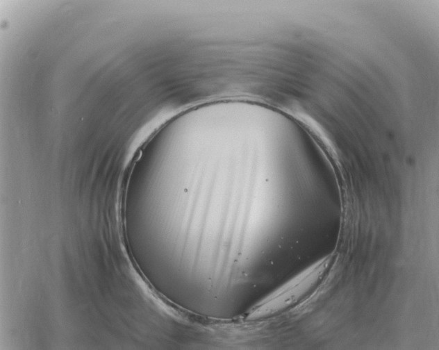 X0000061110910200512091814