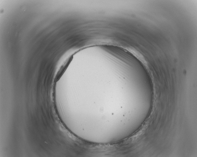 X0000061110912200512091814