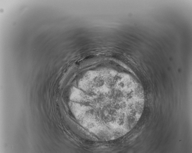 X0000061110913200512091813