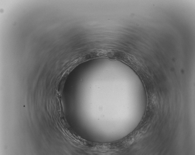 X0000061110914200512091813