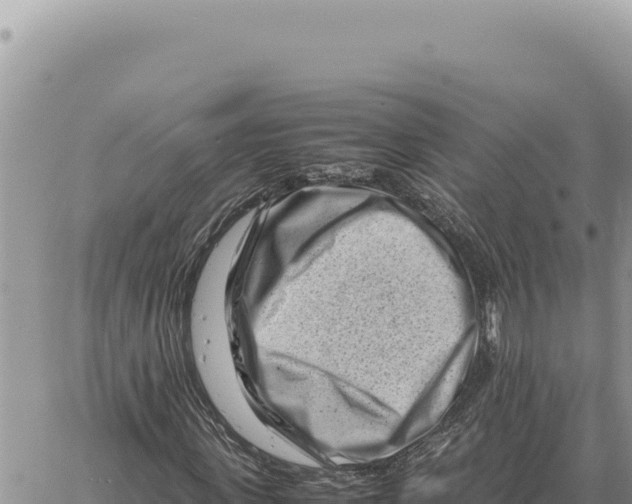 X0000061110915200512091813