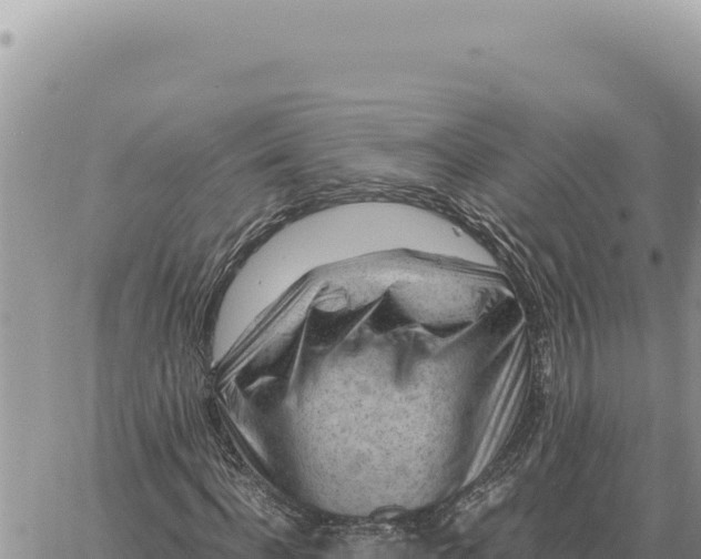 X0000061110916200512091813