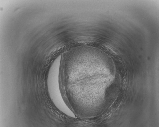 X0000061110917200512091813