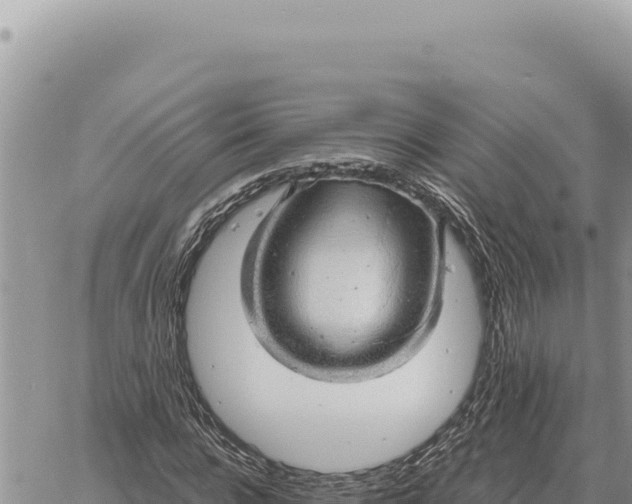 X0000061110920200512091813