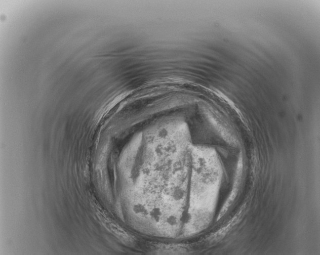 X0000061110921200512091813