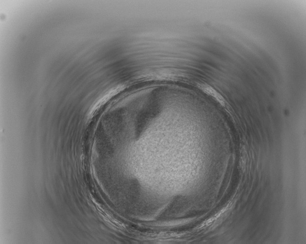 X0000061110922200512091813