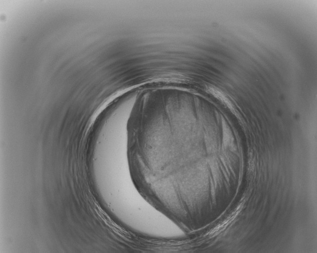 X0000061110923200512091813