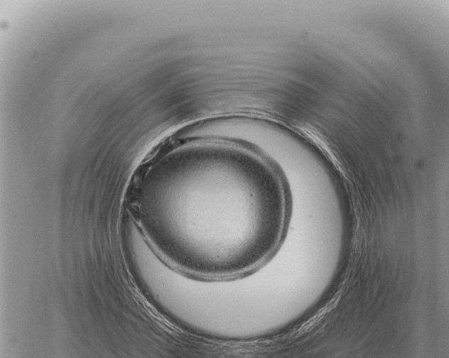 X0000061110924200512091813