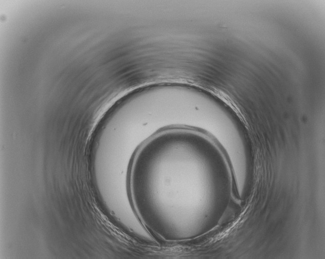 X0000061110926200512091813