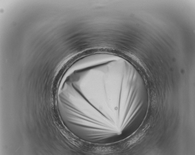 X0000061110927200512091813