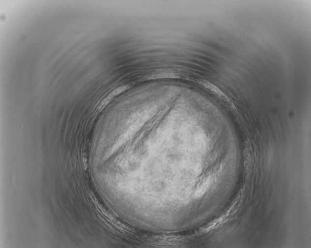 X0000061110929200512091813