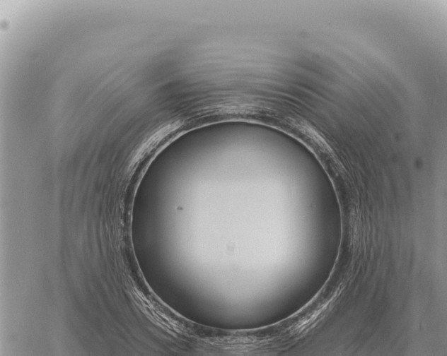 X0000061110930200512091813