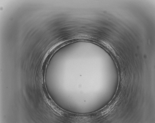 X0000061110931200512091813