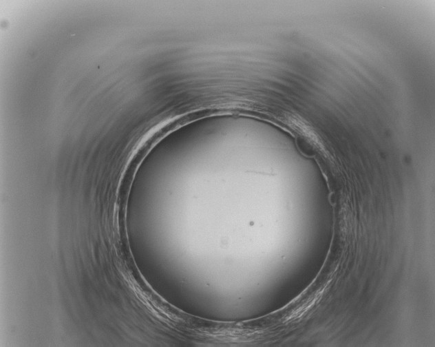 X0000061110932200512091813