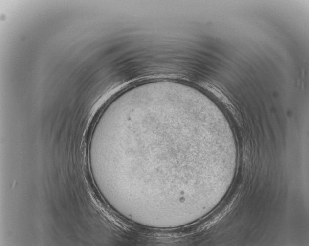 X0000061110933200512091813