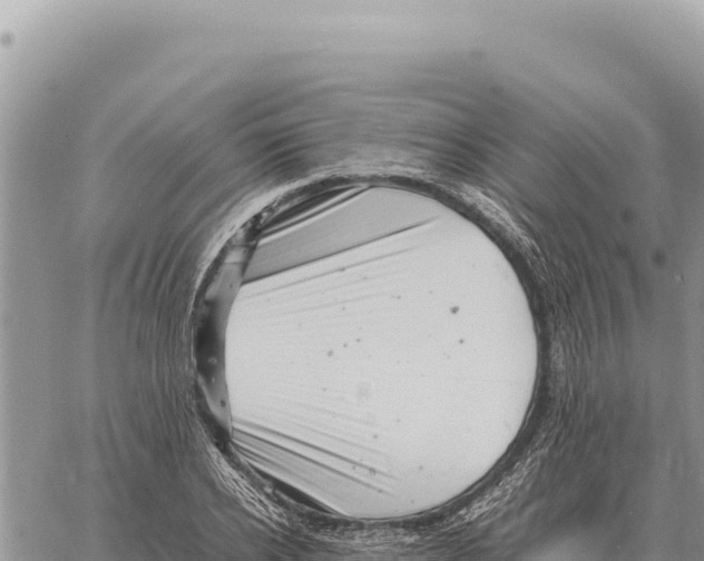 X0000061110934200512091813