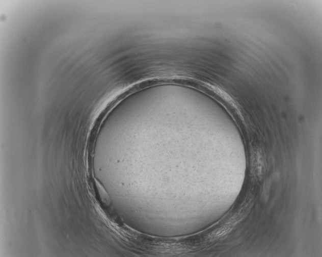 X0000061110935200512091813