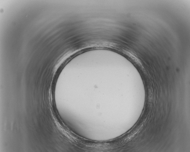 X0000061110936200512091813