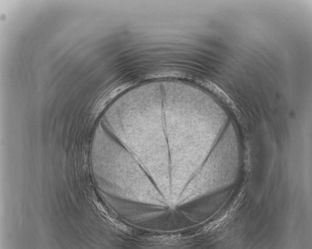 X0000061110937200512091813